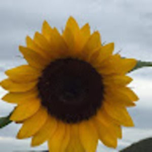 Meet your Posher, Mariette